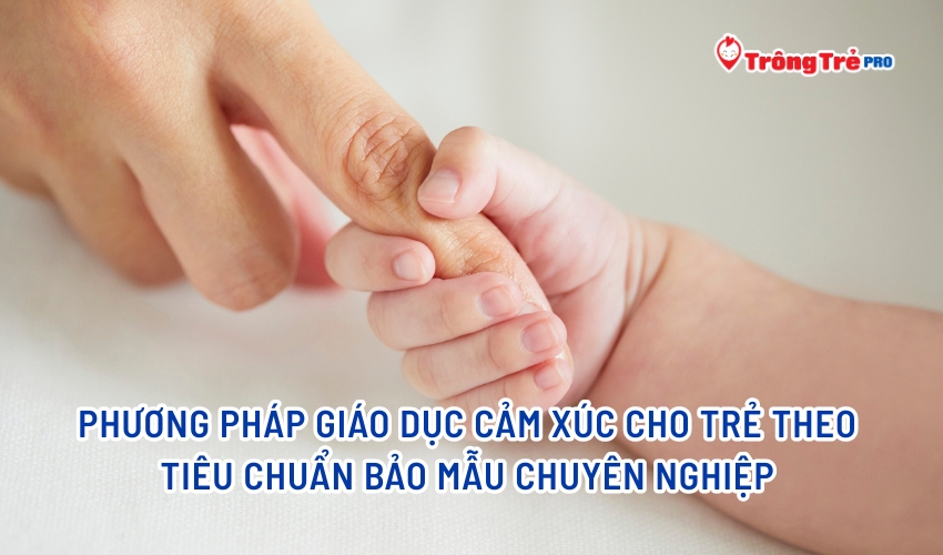 Phương pháp giáo dục cảm xúc cho trẻ theo tiêu chuẩn bảo mẫu chuyên nghiệp 