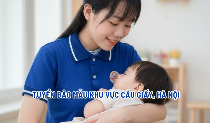 Tuyển bảo mẫu khu vực Cầu Giấy, Hà Nội