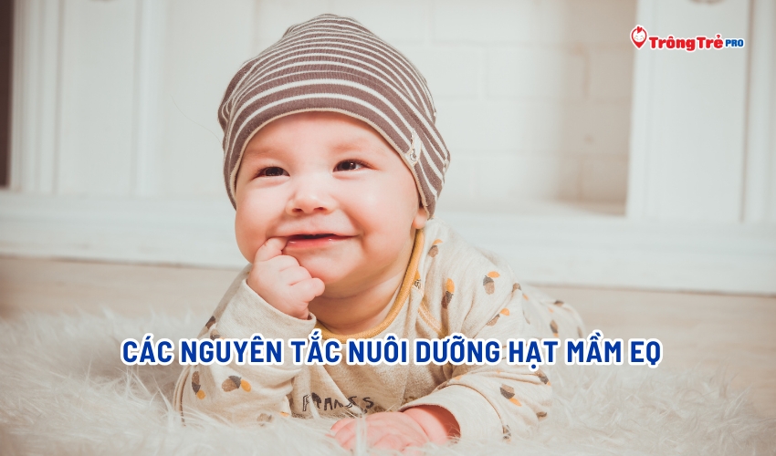 Các nguyên tắc nuôi dưỡng hạt mầm EQ